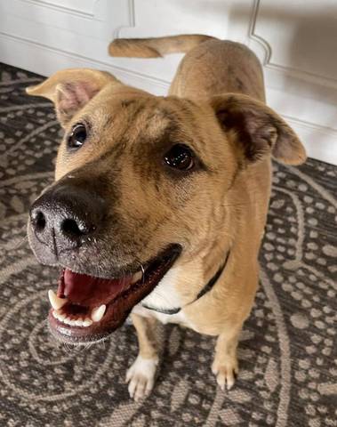 Hensley, adopted