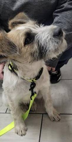 Griswold, adopted
