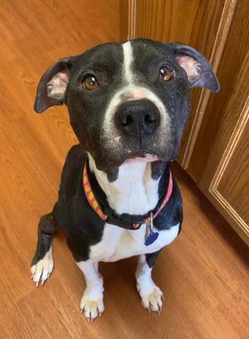 Chidi, adopted