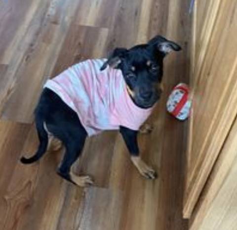Maggie, adopted