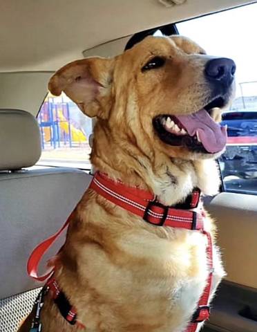 Kernel, adopted