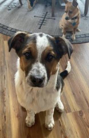 Carl, adopted