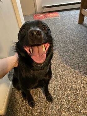 8ball, adopted