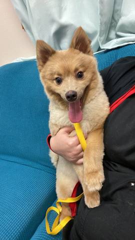 Tucker, adopted