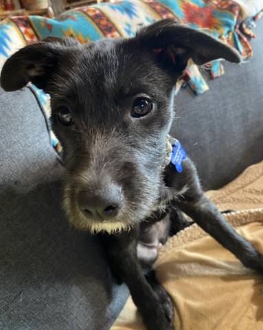 Winnie, adopted