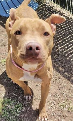 Lena, adopted