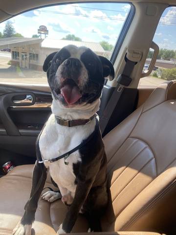 Draxx, adopted