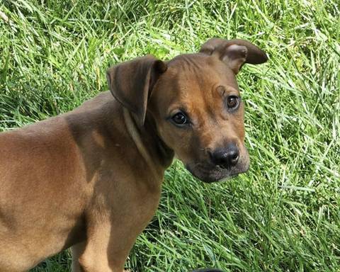 Floyd, adopted