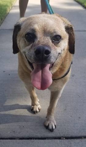 Crash, adopted