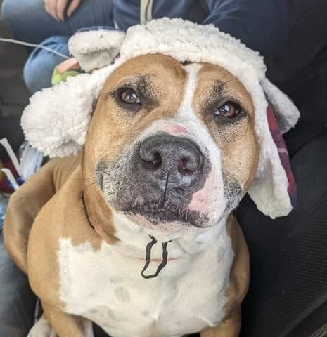 Ed, adopted