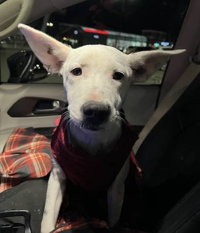 Sally, adopted