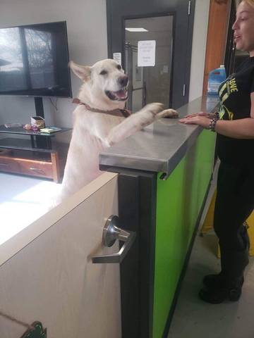 Creed, adopted