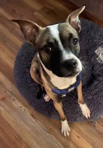 Lucy, adopted