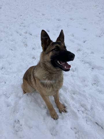 Nyx, adopted