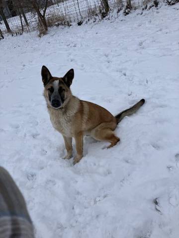 Justice, adopted