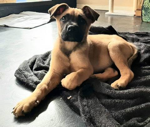 Moby, adopted