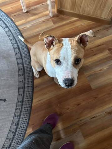 Flora, adopted