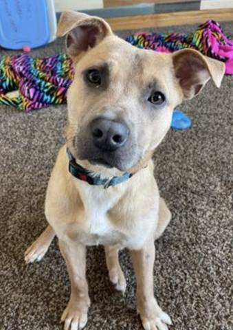Luke, adopted