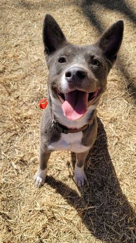 Liza, adopted
