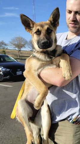 Meghan, adopted