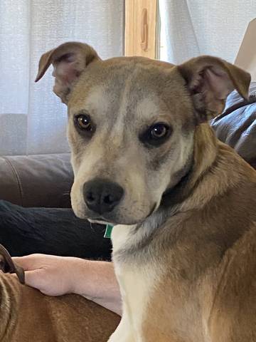 Christina, adopted