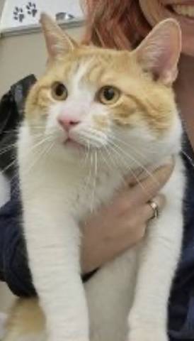 Big Papa, adopted