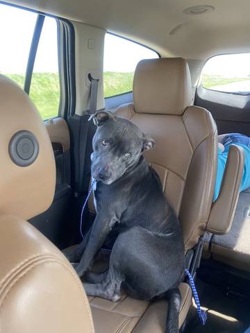 Billey, adopted