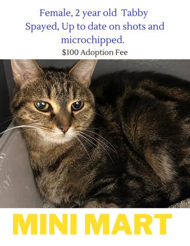Mini Mart, adopted