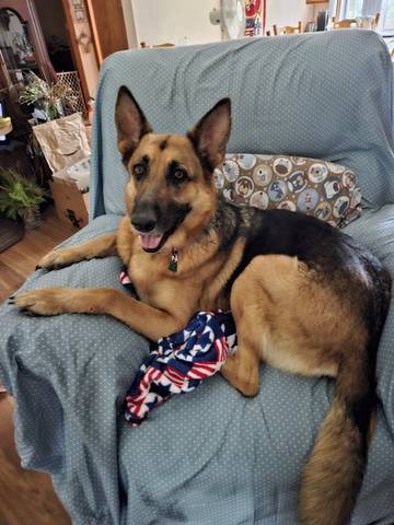 Camille, adopted