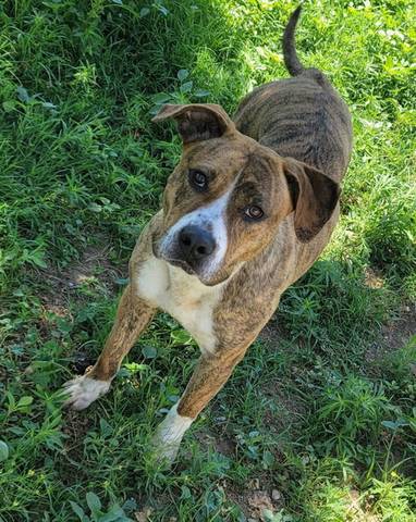 Betty, adopted