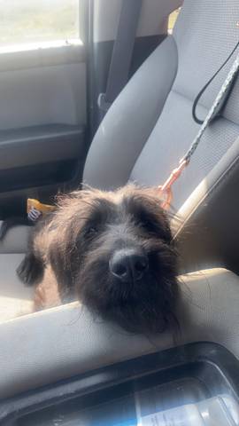 Meela, adopted
