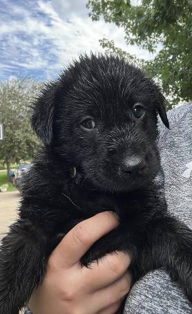 Ted, adopted