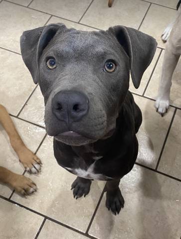 Jeffrey, adopted