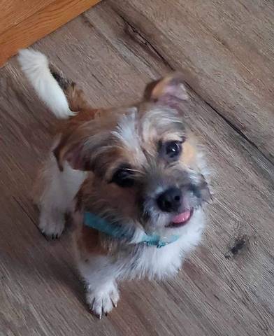 Rupert, adopted