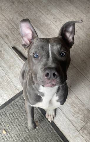 Cash, adopted