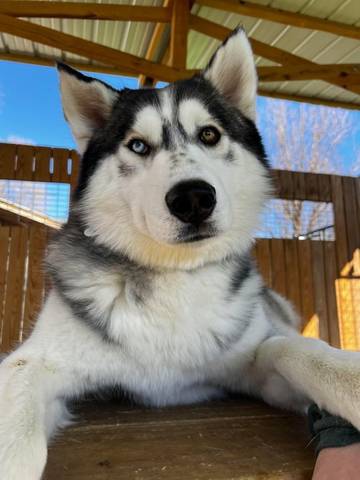 Edgar, adopted
