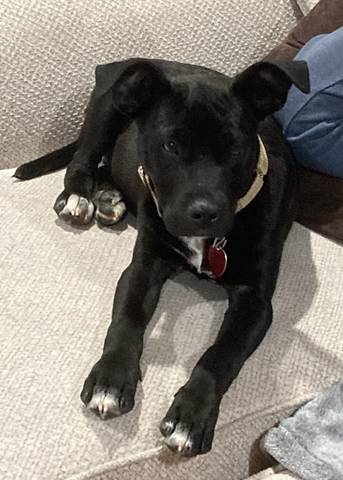 Walter Jr, adopted