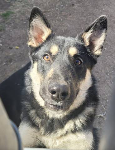 Kyah, adopted