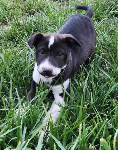 Melany, adopted