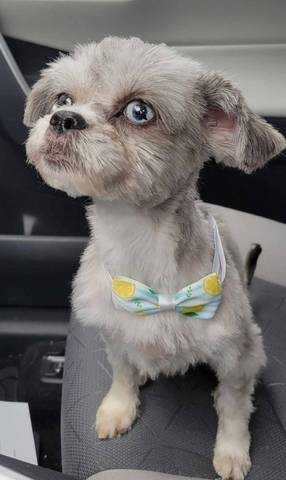 Edna, adopted