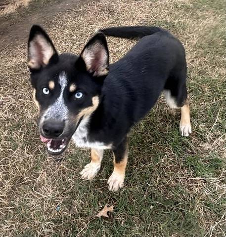 Geoff, adopted