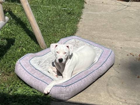 Faith, adopted