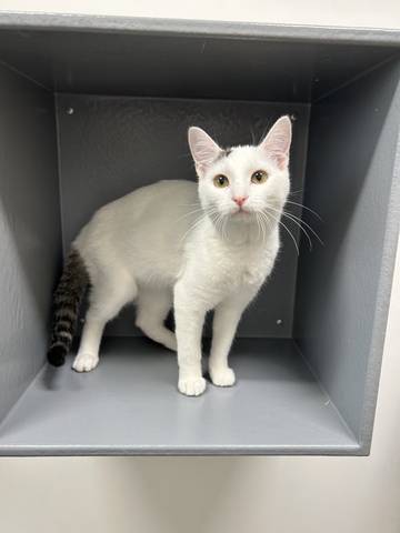 Flo, adopted
