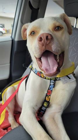 Walter, adopted