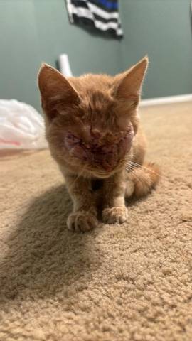 Weaver, adopted