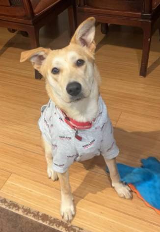 Sabrina, adopted