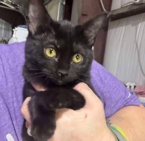 Sarah Kate, adopted