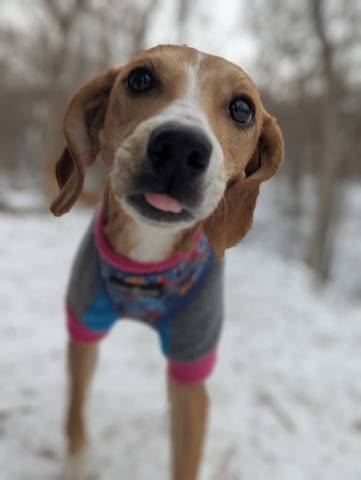 Annie Oakley, adopted