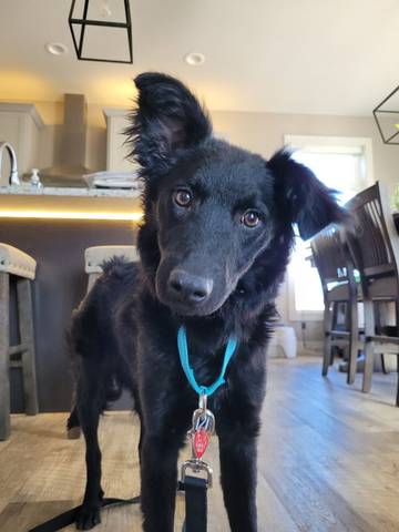 Tiffany, adopted