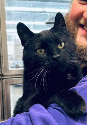 Wilson, adopted